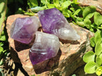 Natural Jacaranda Amethyst Single Crystals x 24 From Mumbwa, Zambia