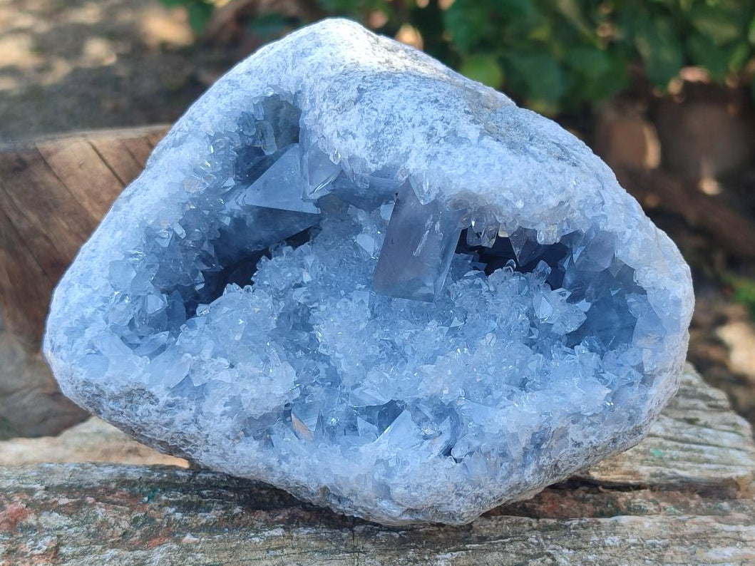 Natural Large Blue Celestite Geode Specimen x 1 From Sakoany, Madagascar