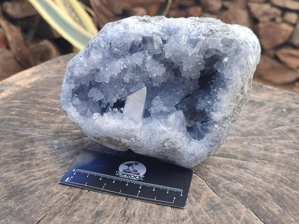 Natural Large Blue Celestite Geode Specimen x 1 From Sakoany, Madagascar