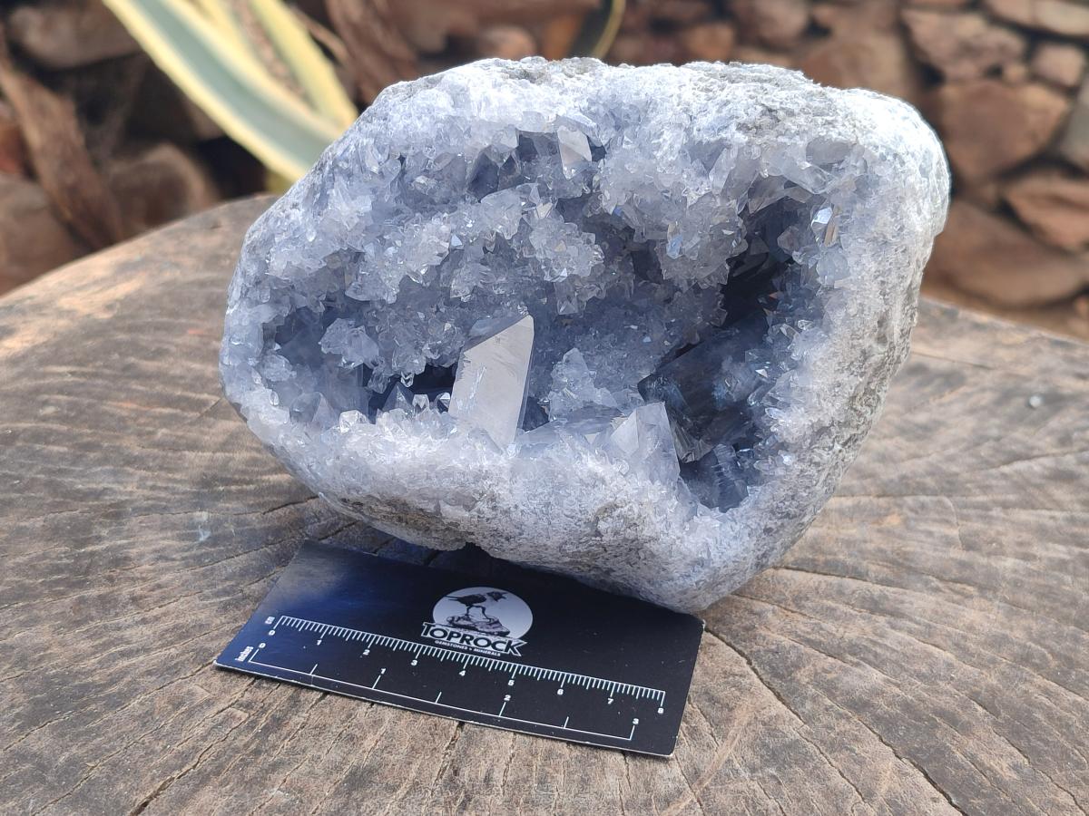 Natural Large Blue Celestite Geode Specimen x 1 From Sakoany, Madagascar