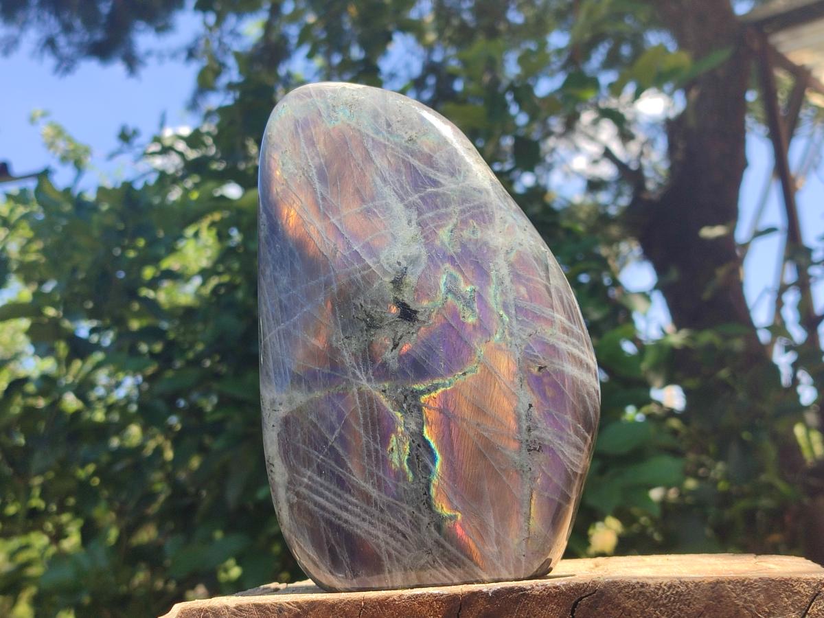 Polished Large Rare Purple Sunset Flash Labradorite Standing Free Form x 1 From Madagascar