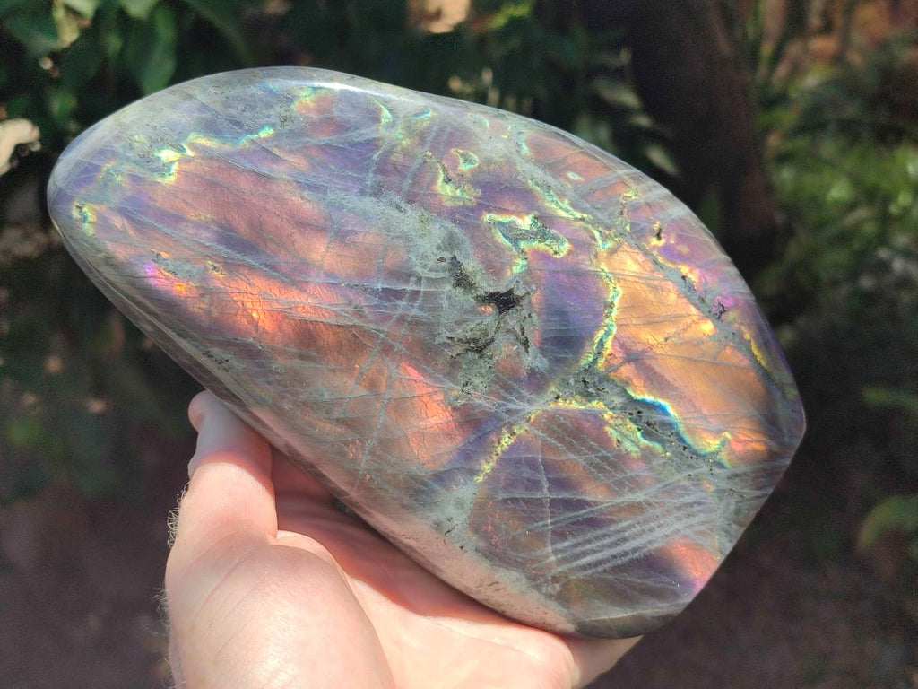 Polished Large Rare Purple Sunset Flash Labradorite Standing Free Form x 1 From Madagascar