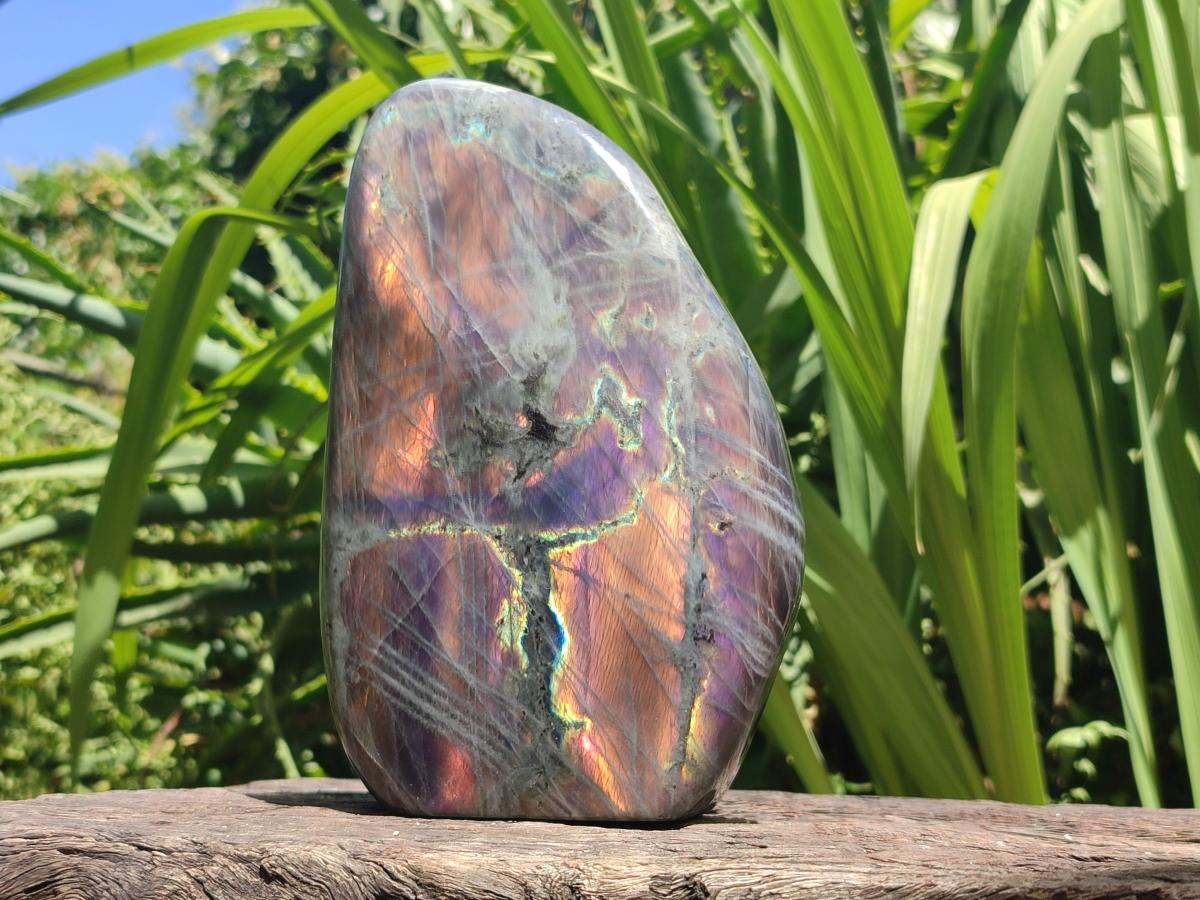 Polished Large Rare Purple Sunset Flash Labradorite Standing Free Form x 1 From Madagascar