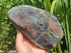 Polished Large Rare Purple Sunset Flash Labradorite Standing Free Form x 1 From Madagascar