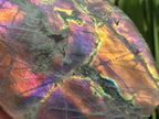 Polished Large Rare Purple Sunset Flash Labradorite Standing Free Form x 1 From Madagascar