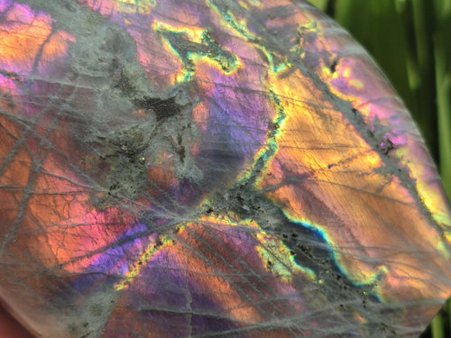 Polished Large Rare Purple Sunset Flash Labradorite Standing Free Form x 1 From Madagascar