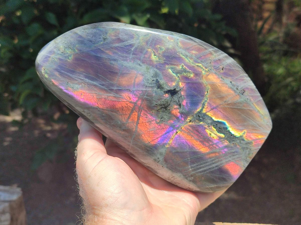 Polished Large Rare Purple Sunset Flash Labradorite Standing Free Form x 1 From Madagascar
