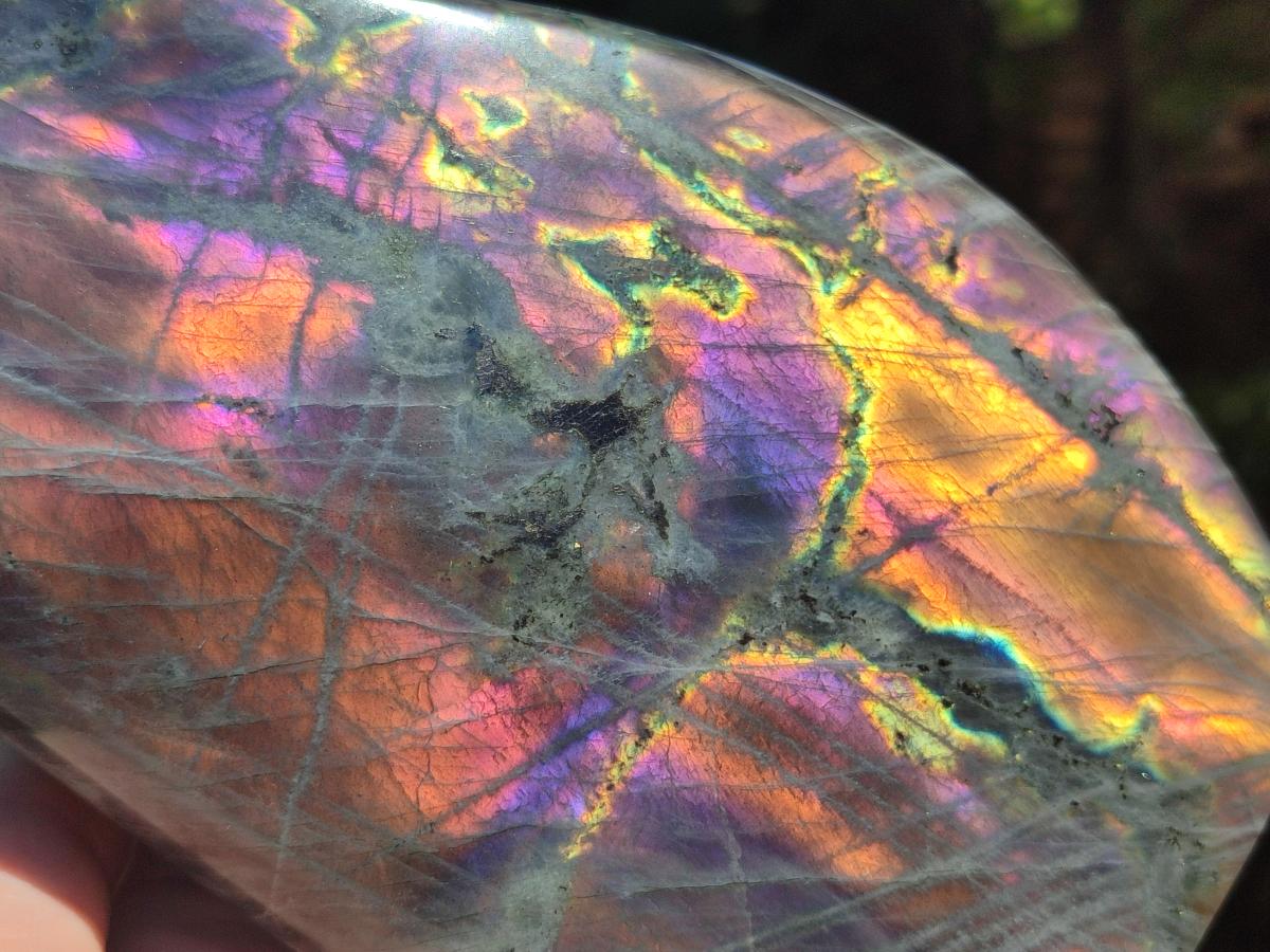 Polished Large Rare Purple Sunset Flash Labradorite Standing Free Form x 1 From Madagascar