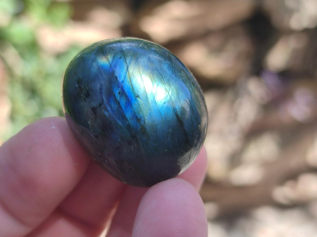 Polished Rounded Labradorite Free Forms x 35 From Madagascar
