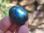 Polished Rounded Labradorite Free Forms x 35 From Madagascar