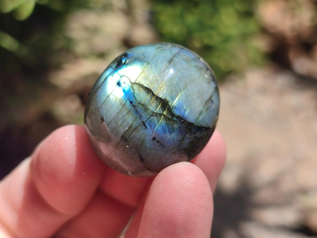 Polished Rounded Labradorite Free Forms x 35 From Madagascar