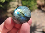 Polished Rounded Labradorite Free Forms x 35 From Madagascar