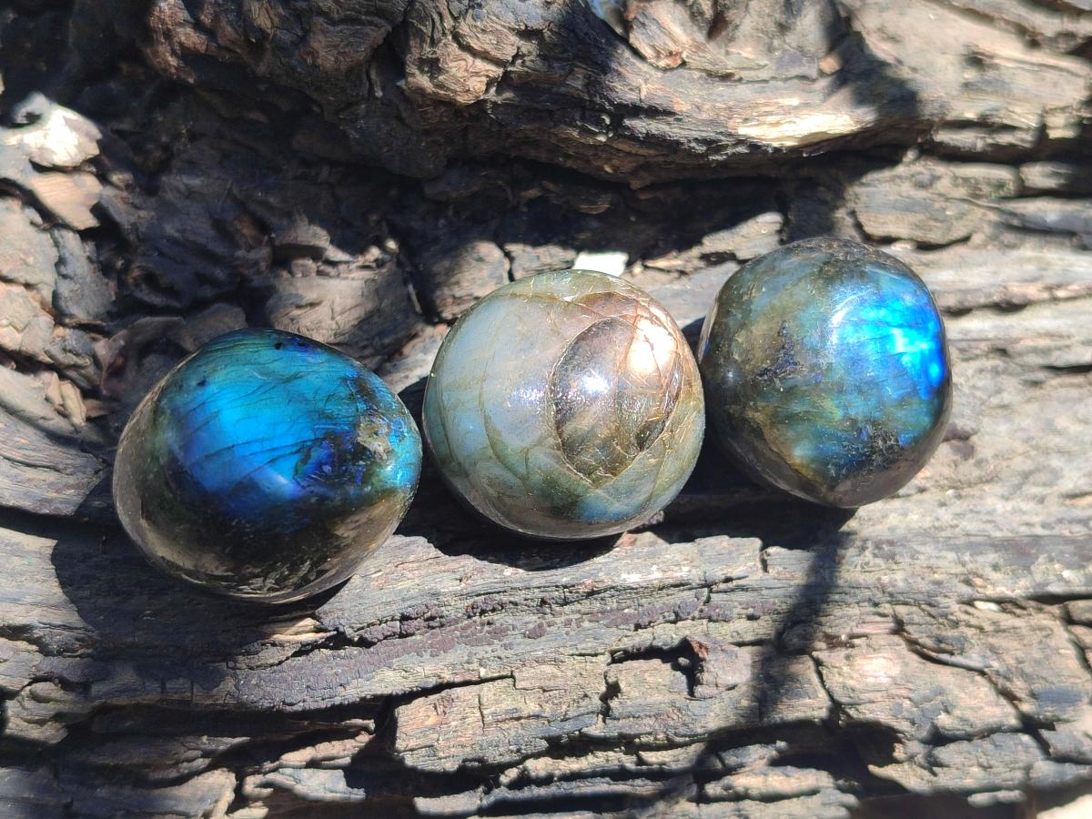 Polished Rounded Labradorite Free Forms x 35 From Madagascar