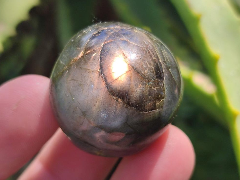 Polished Rounded Labradorite Free Forms x 35 From Madagascar