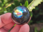 Polished Rounded Labradorite Free Forms x 35 From Madagascar