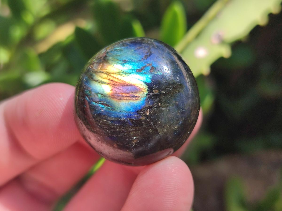 Polished Rounded Labradorite Free Forms x 35 From Madagascar