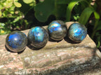 Polished Rounded Labradorite Free Forms x 35 From Madagascar