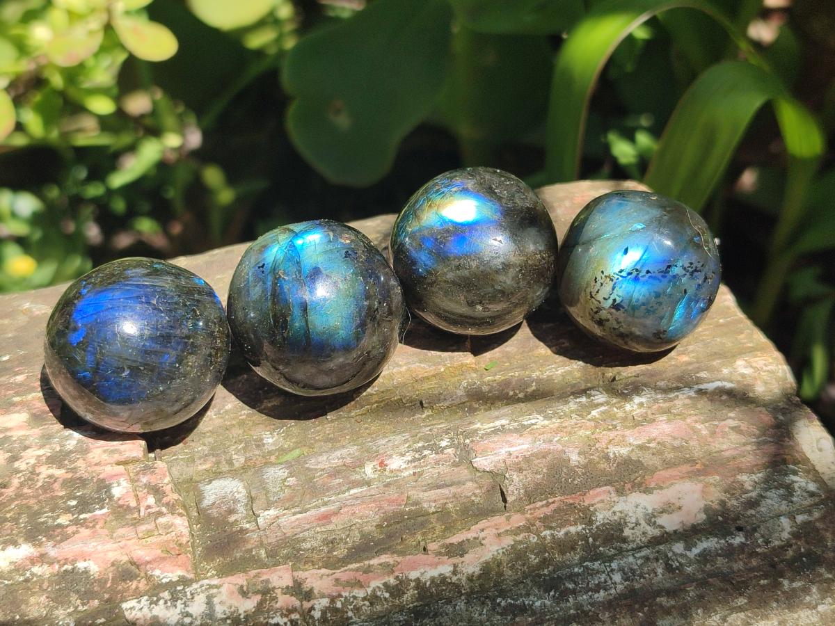 Polished Rounded Labradorite Free Forms x 35 From Madagascar