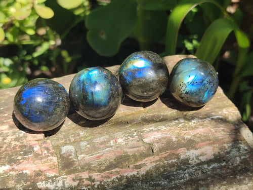 Polished Rounded Labradorite Free Forms x 35 From Madagascar