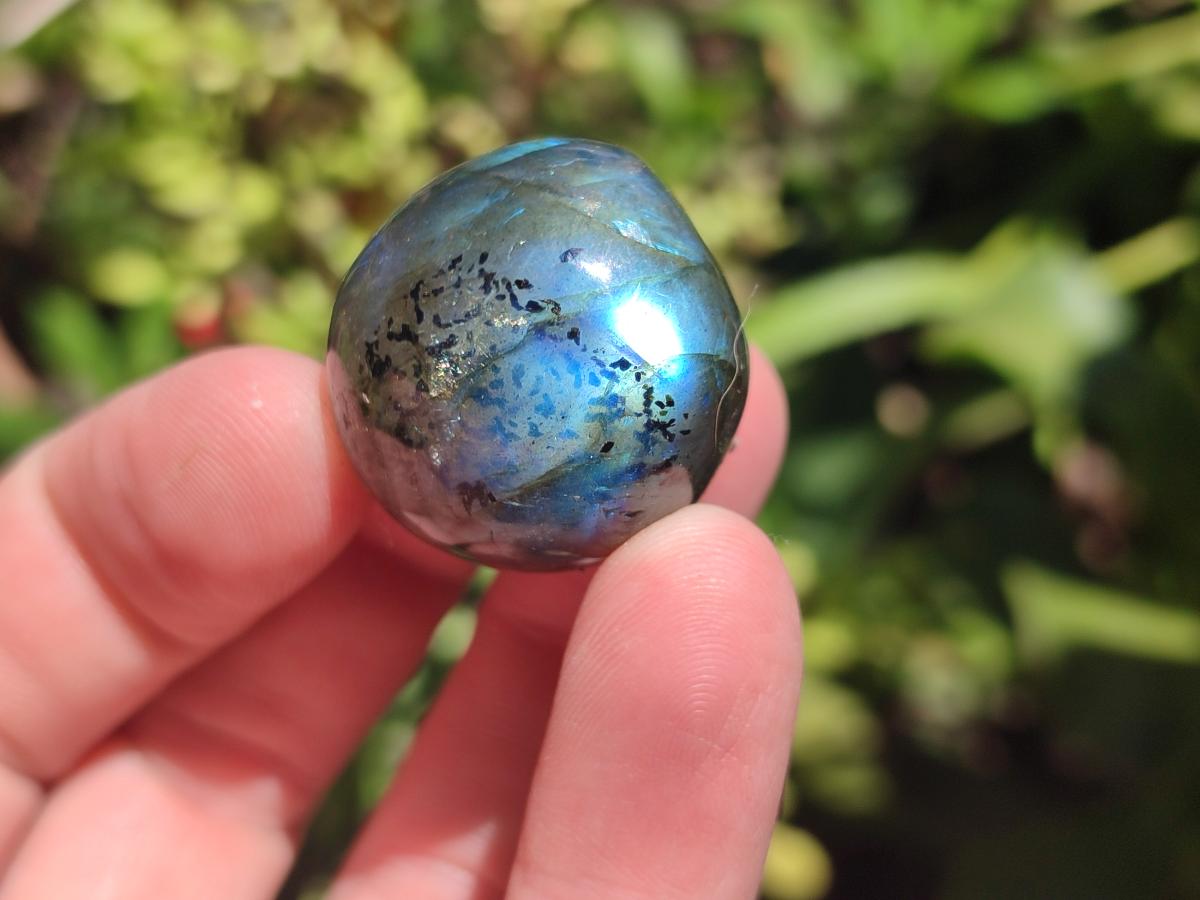 Polished Rounded Labradorite Free Forms x 35 From Madagascar