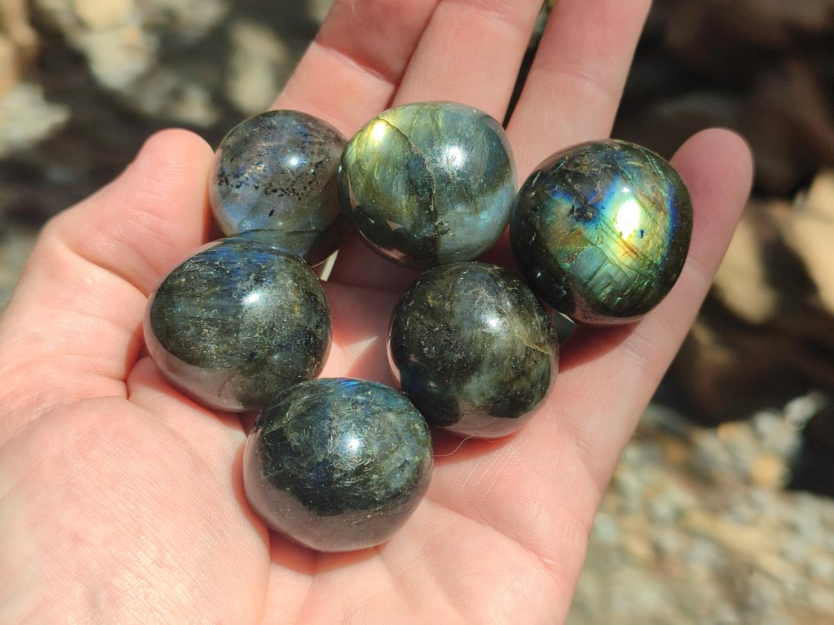 Polished Rounded Labradorite Free Forms x 35 From Madagascar