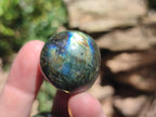Polished Rounded Labradorite Free Forms x 35 From Madagascar
