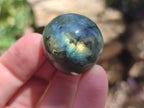 Polished Rounded Labradorite Free Forms x 35 From Madagascar