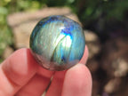 Polished Rounded Labradorite Free Forms x 35 From Madagascar