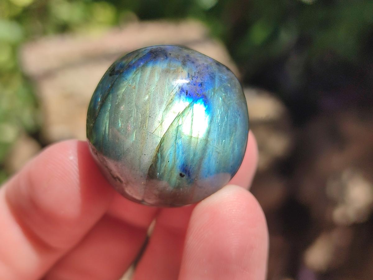 Polished Rounded Labradorite Free Forms x 35 From Madagascar