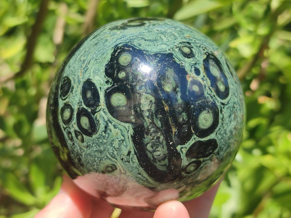 Polished Stromatolite Spheres x 2 From Katsepy, Madagascar