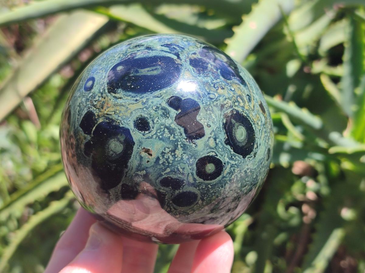 Polished Stromatolite Spheres x 2 From Katsepy, Madagascar