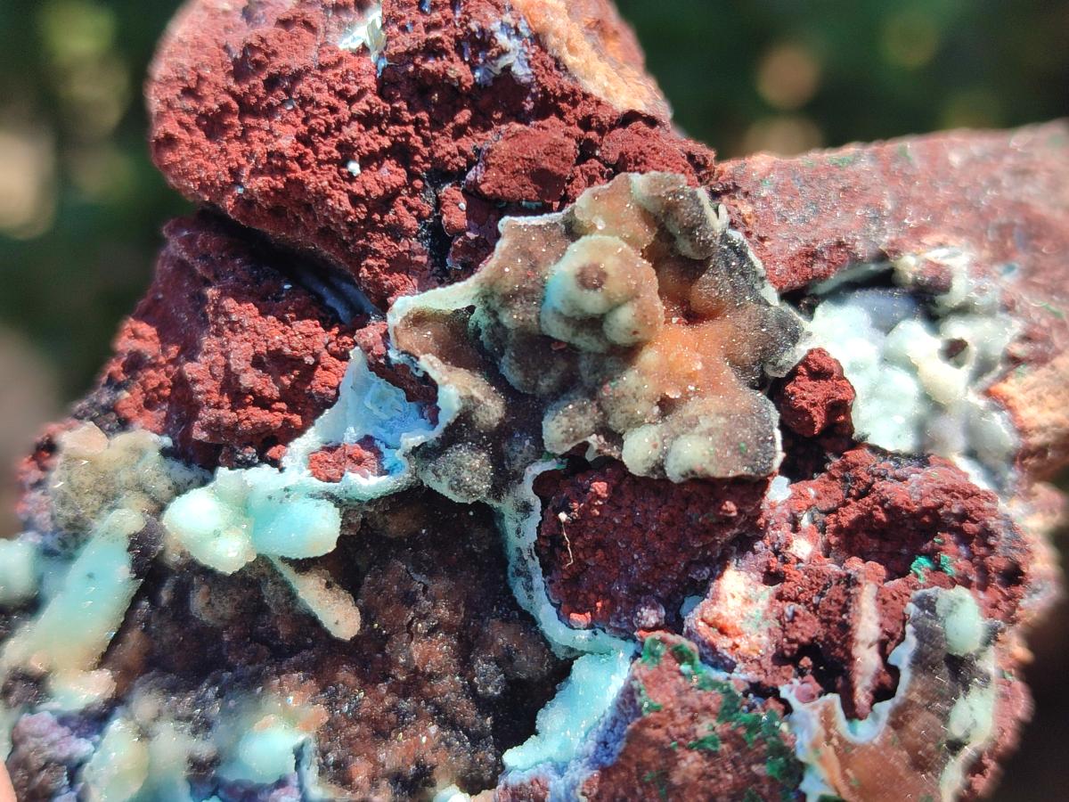 Natural Drusy Coated Chrysocolla Specimens x 6 From Lupoto Mine, Congo