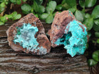 Natural Drusy Coated Chrysocolla Specimens x 6 From Lupoto Mine, Congo