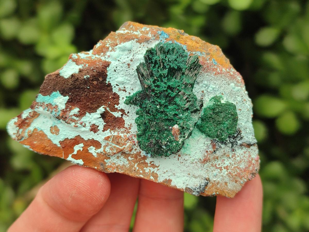 Natural Drusy Coated Chrysocolla Specimens x 6 From Lupoto Mine, Congo