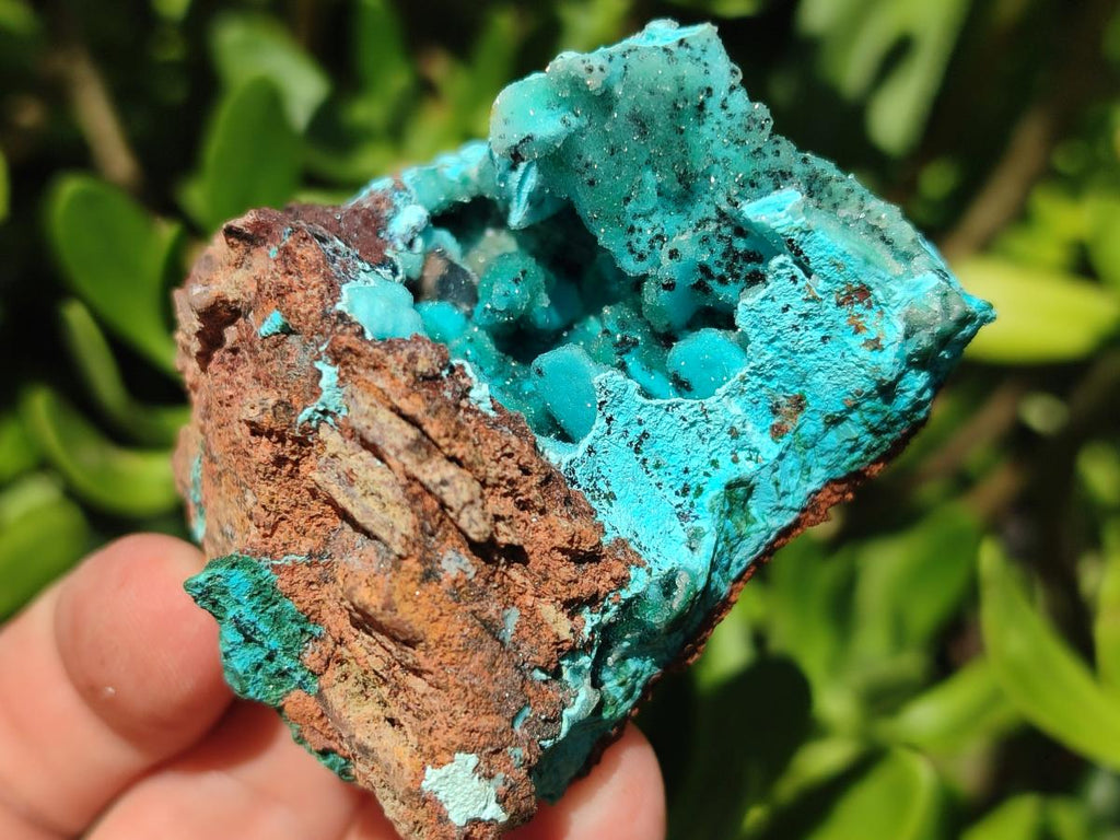 Natural Drusy Coated Chrysocolla Specimens x 6 From Lupoto Mine, Congo