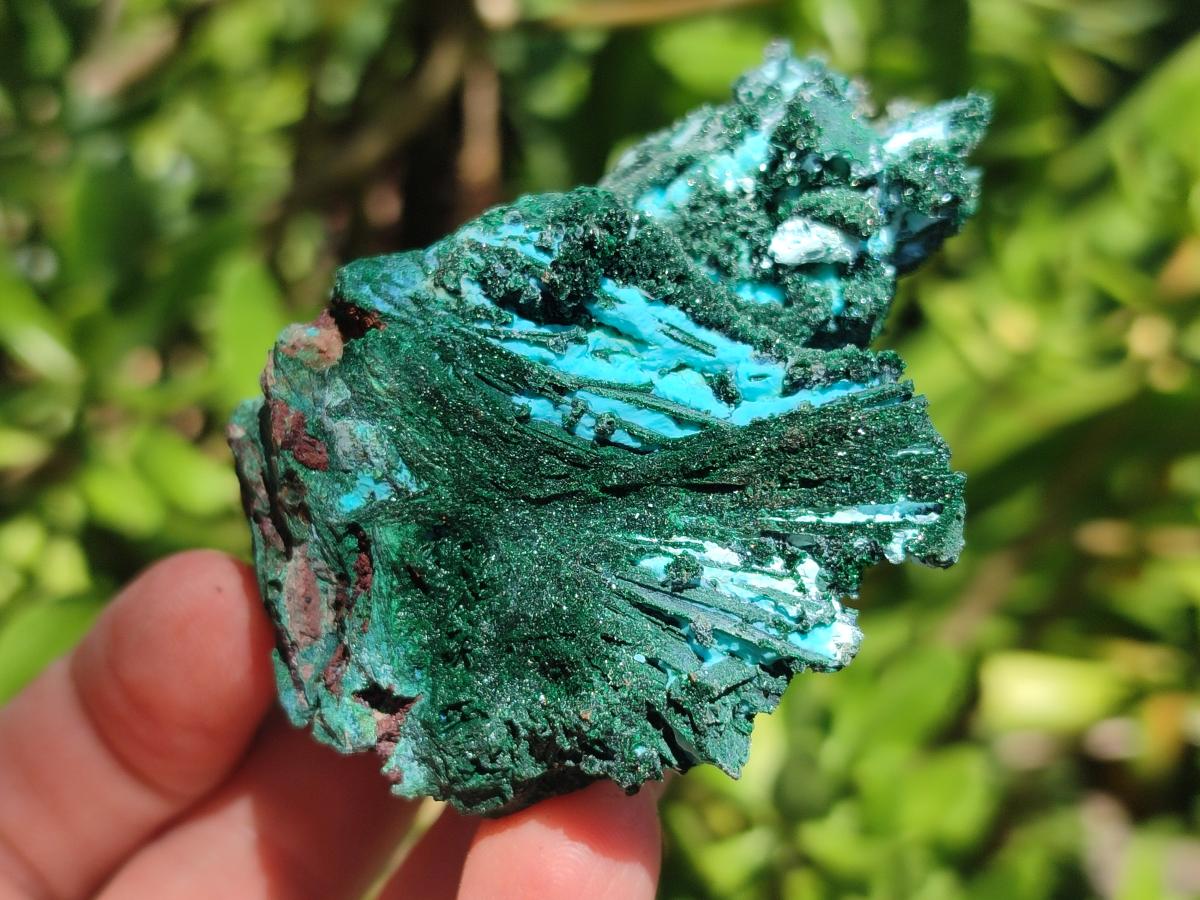 Natural Drusy Coated Chrysocolla Specimens x 6 From Lupoto Mine, Congo