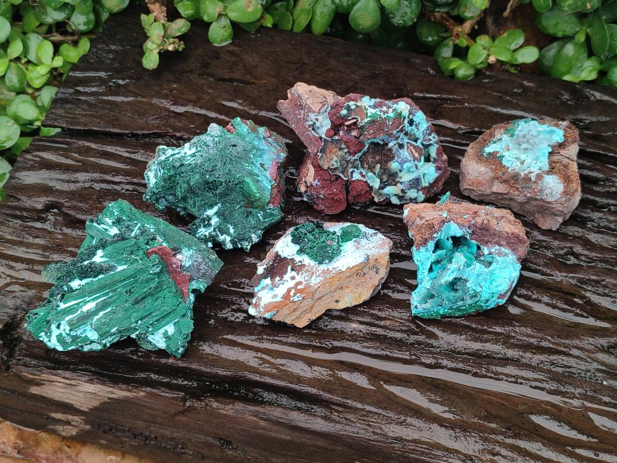 Natural Drusy Coated Chrysocolla Specimens x 6 From Lupoto Mine, Congo