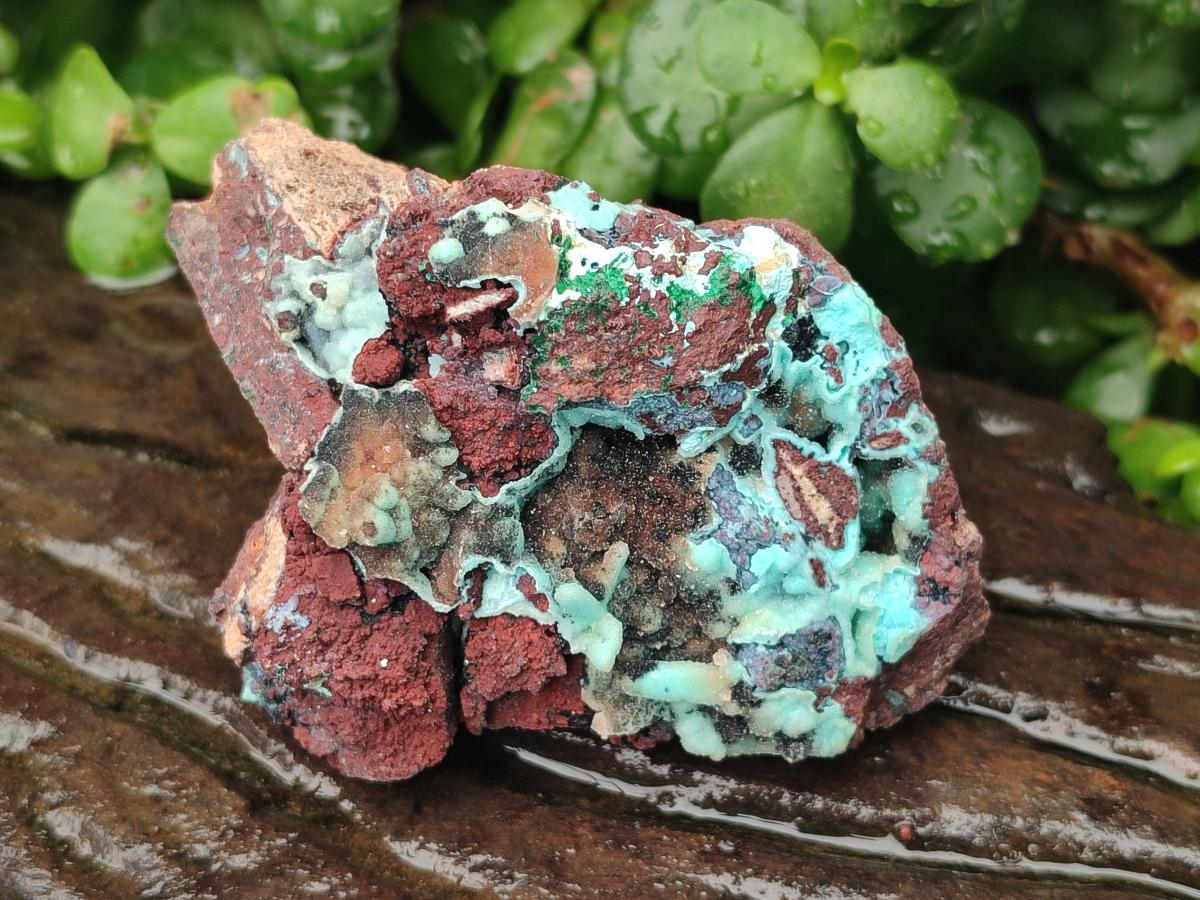 Natural Drusy Coated Chrysocolla Specimens x 6 From Lupoto Mine, Congo