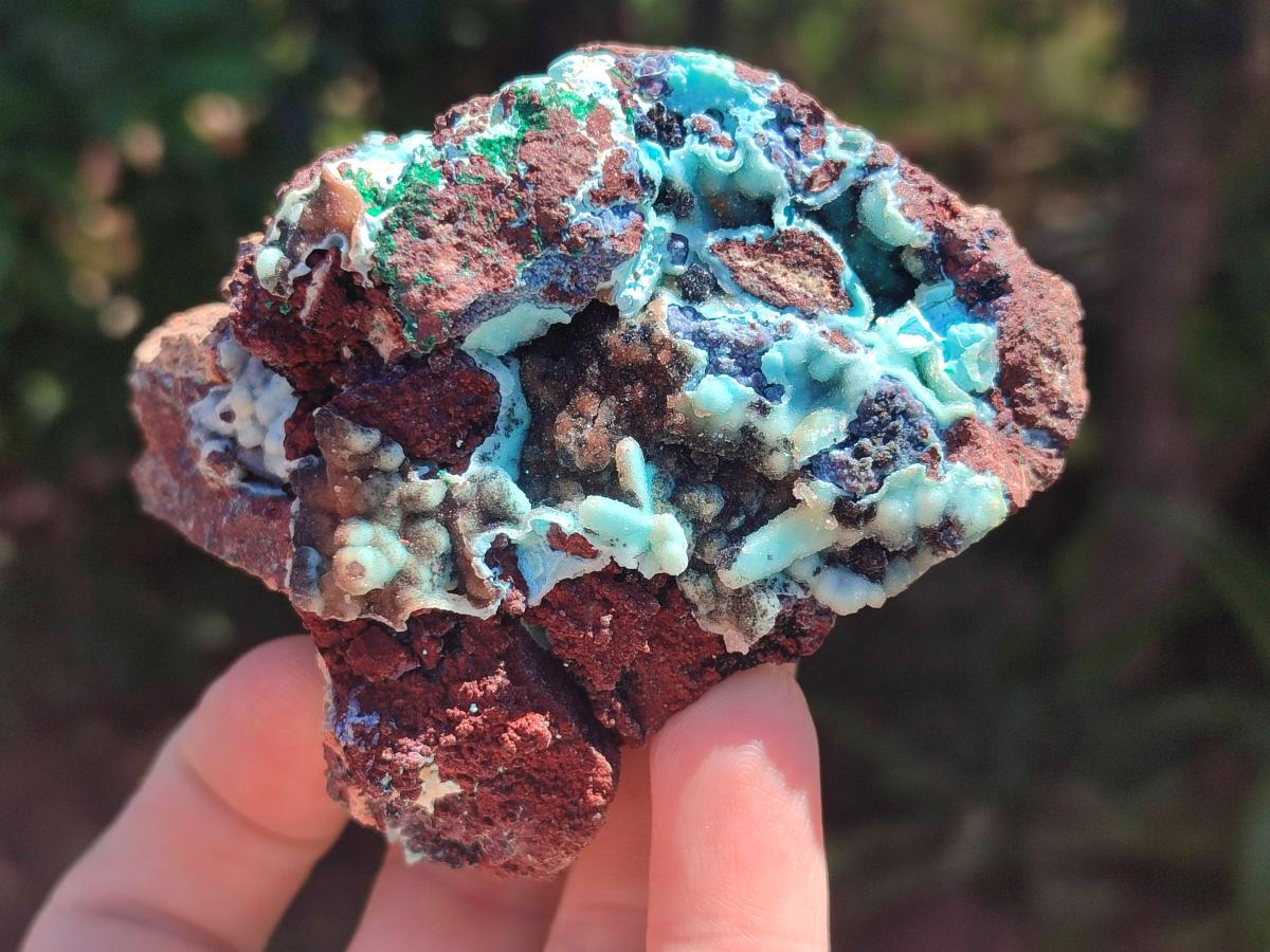 Natural Drusy Coated Chrysocolla Specimens x 6 From Lupoto Mine, Congo