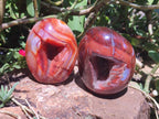 Polished Carnelian Agate Gemstone Standing Free Forms x 3 From Madagascar
