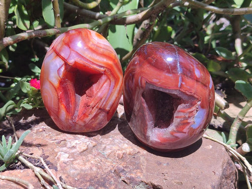 Polished Carnelian Agate Gemstone Standing Free Forms x 3 From Madagascar