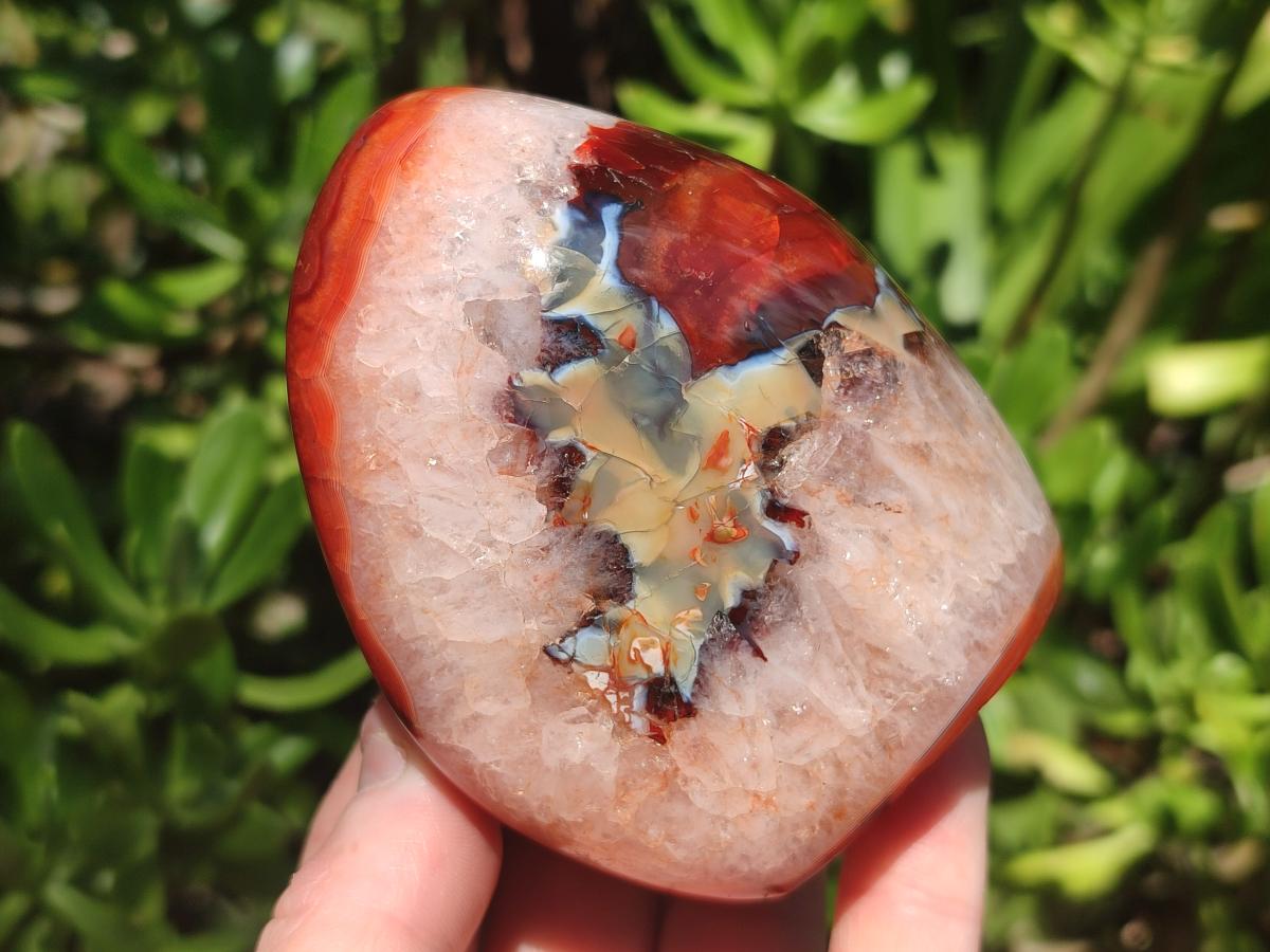 Polished Carnelian Agate Gemstone Standing Free Forms x 3 From Madagascar