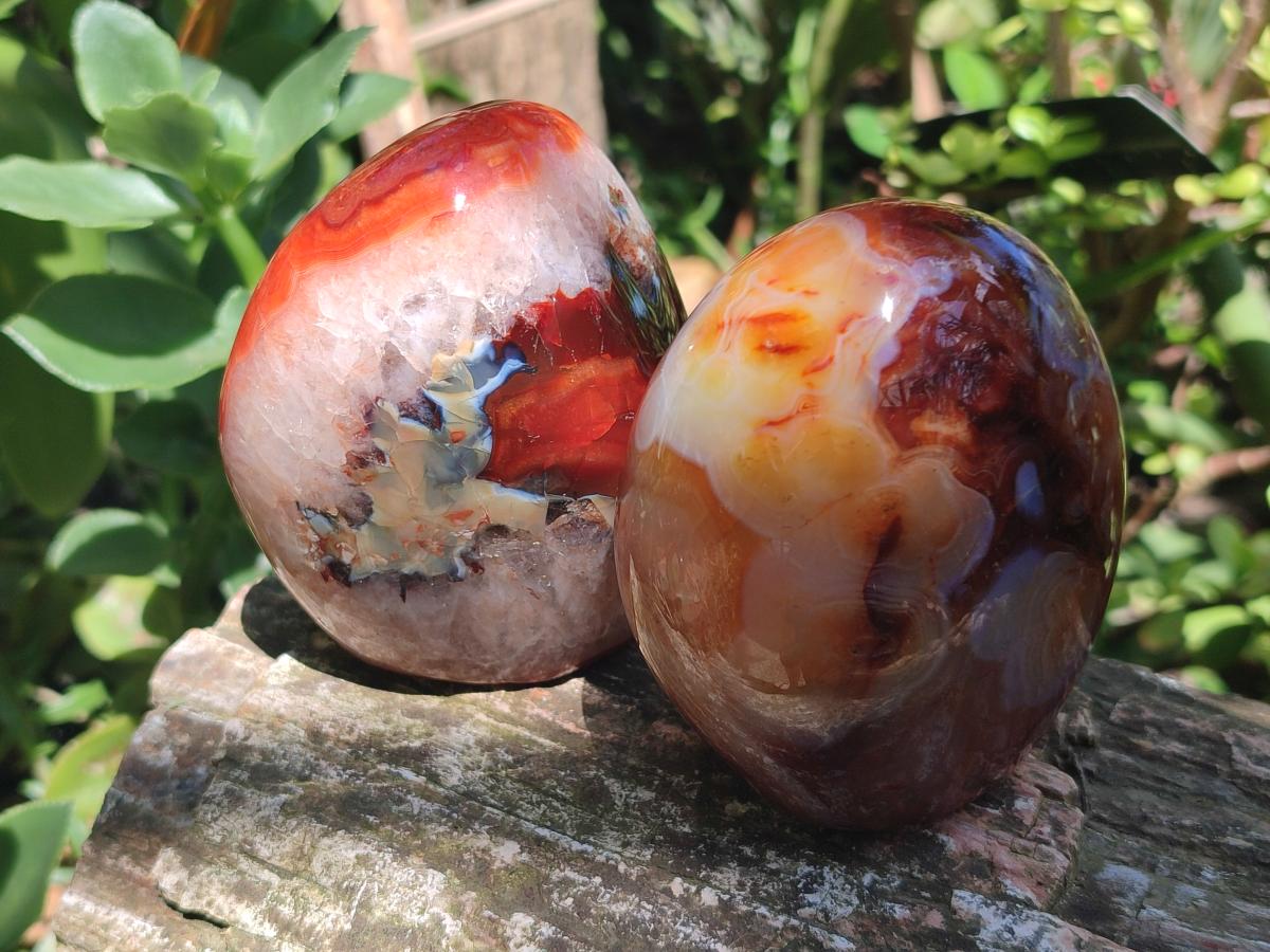 Polished Carnelian Agate Gemstone Standing Free Forms x 3 From Madagascar