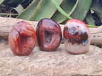 Polished Carnelian Agate Gemstone Standing Free Forms x 3 From Madagascar