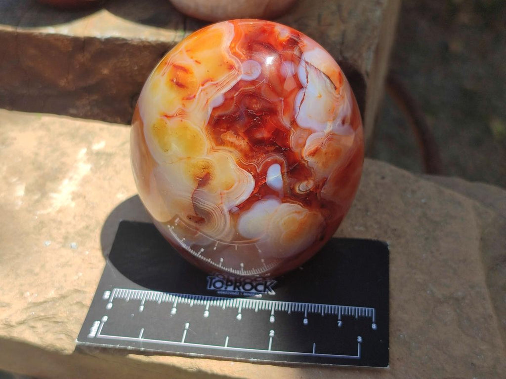 Polished Carnelian Agate Gemstone Standing Free Forms x 3 From Madagascar