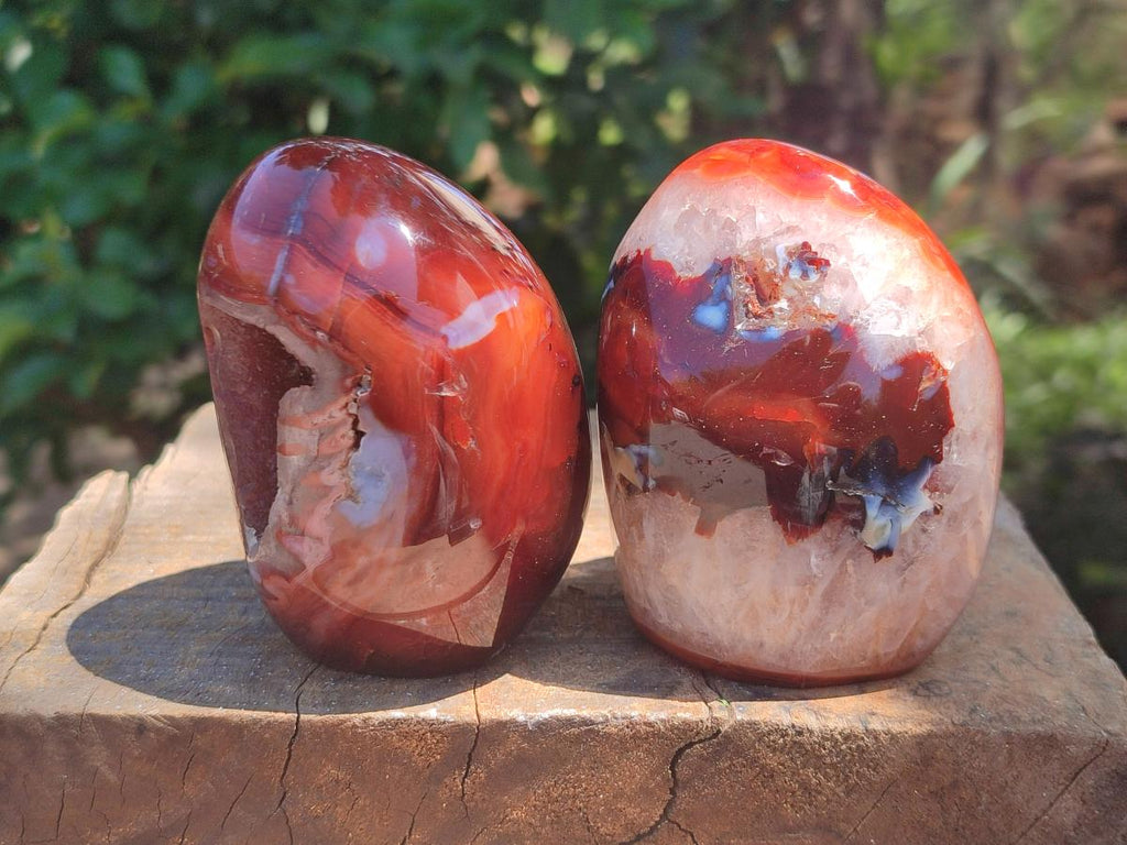 Polished Carnelian Agate Gemstone Standing Free Forms x 3 From Madagascar