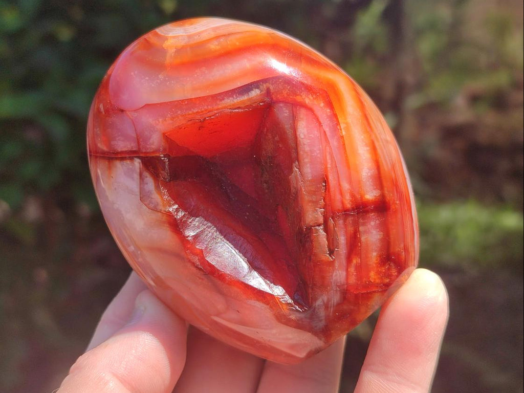 Polished Carnelian Agate Gemstone Standing Free Forms x 3 From Madagascar