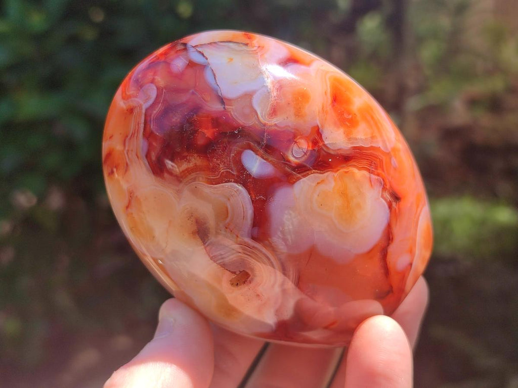 Polished Carnelian Agate Gemstone Standing Free Forms x 3 From Madagascar