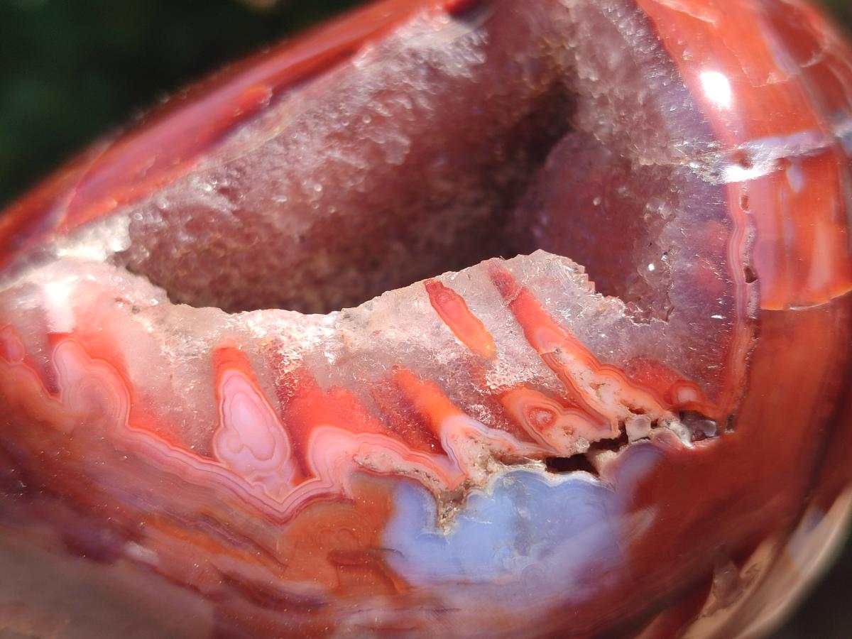 Polished Carnelian Agate Gemstone Standing Free Forms x 3 From Madagascar