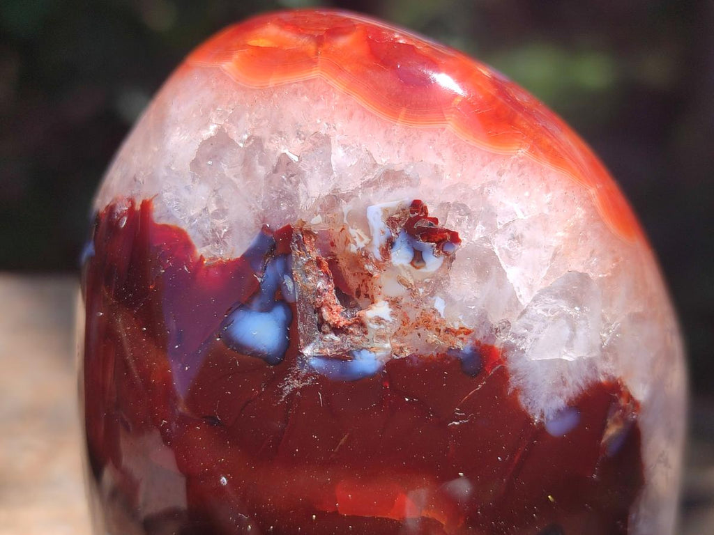Polished Carnelian Agate Gemstone Standing Free Forms x 3 From Madagascar
